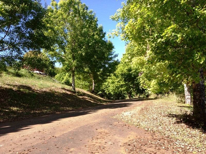 Lot 10 / 19 Teak Road, Federal NSW 2480