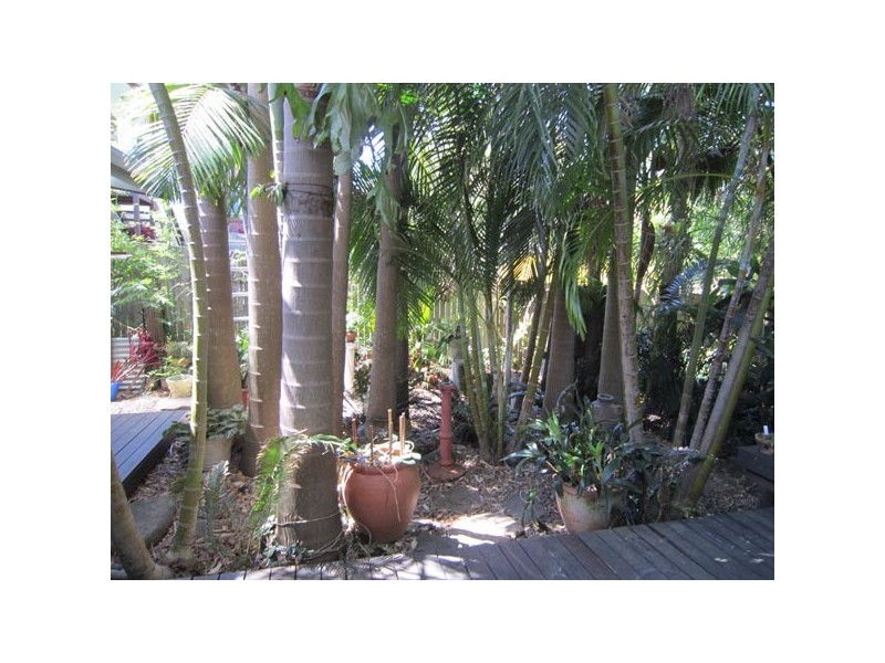 11 Mackay Street, Byron Bay NSW 2481