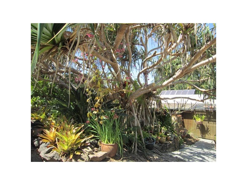 11A Mackay Street, Byron Bay NSW 2481