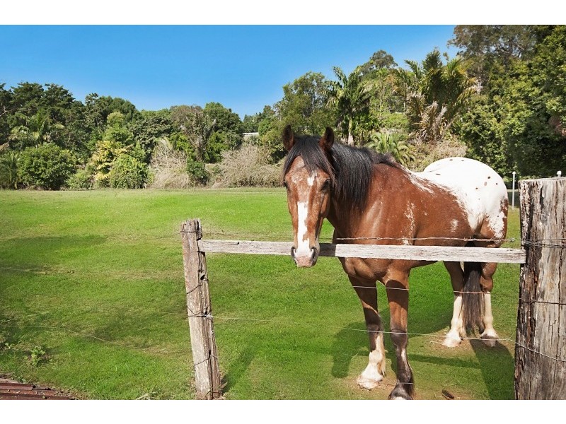 159 McGettigans Lane, Ewingsdale NSW 2481