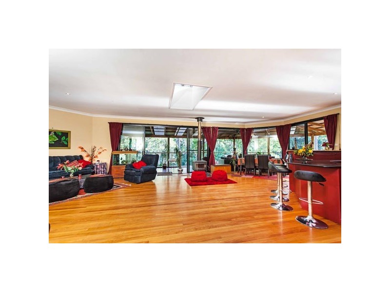 859 Wilsons Creek Rd, Wilsons Creek NSW 2482