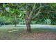 859 Wilsons Creek Rd, Wilsons Creek NSW 2482