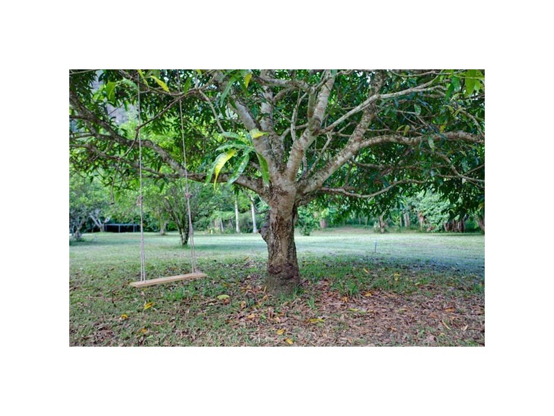 859 Wilsons Creek Rd, Wilsons Creek NSW 2482