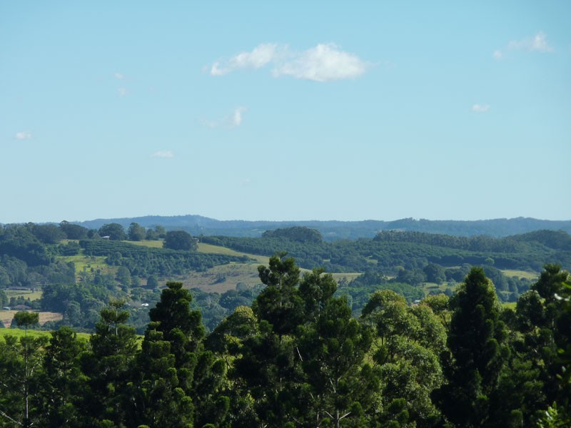 159 Flowers Road, Binna Burra NSW 2479