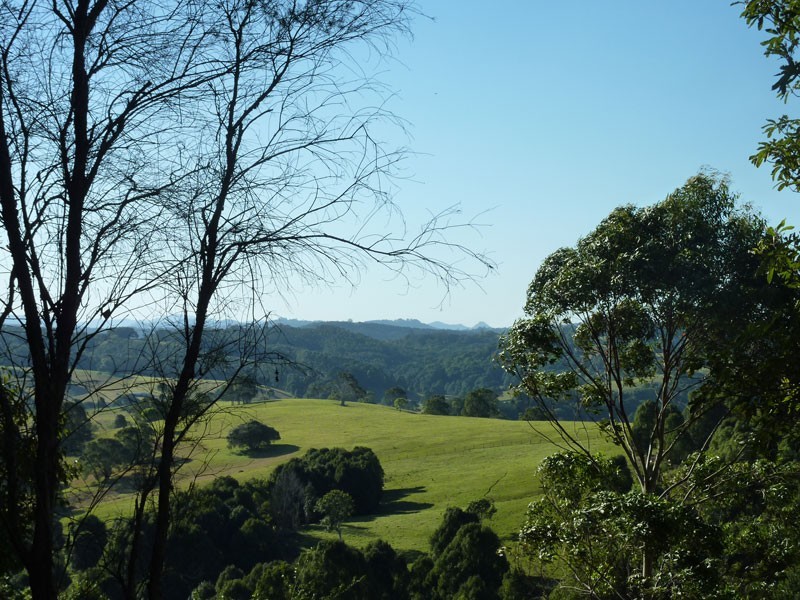 159 Flowers Road, Binna Burra NSW 2479