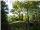 159 Flowers Road, Binna Burra NSW 2479