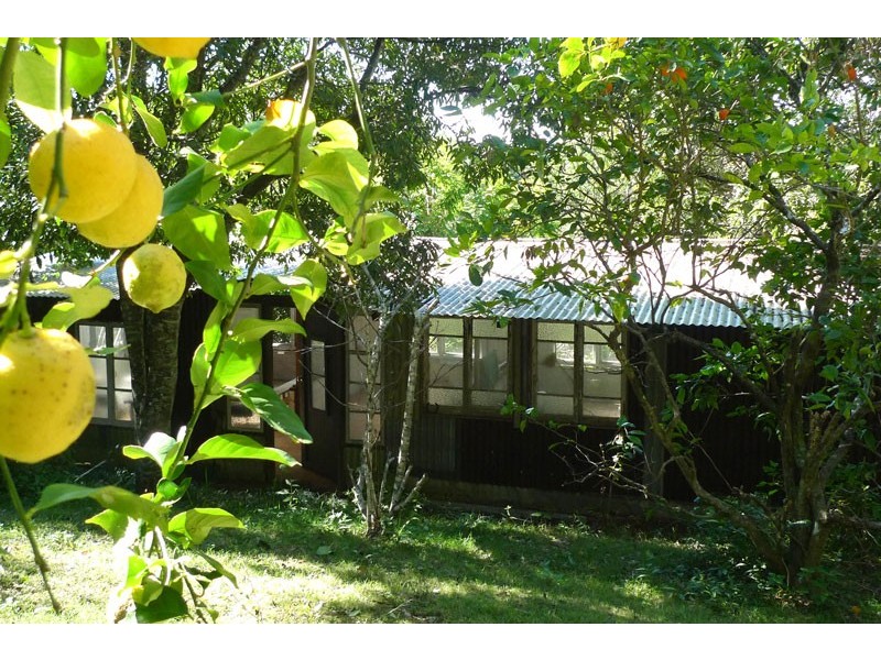 159 Flowers Road, Binna Burra NSW 2479