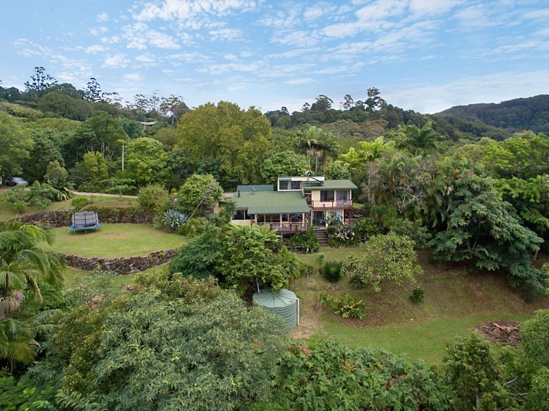 429 Wilsons Creek Road, Wilsons Creek NSW 2482