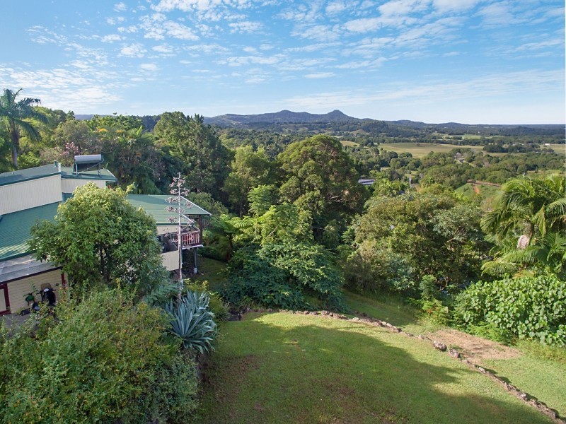 429 Wilsons Creek Road, Wilsons Creek NSW 2482