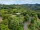 429 Wilsons Creek Road, Wilsons Creek NSW 2482