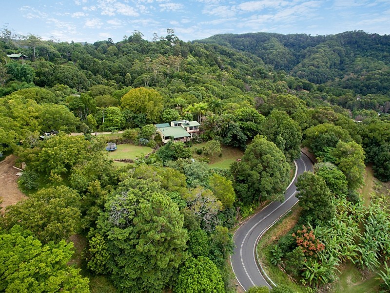 429 Wilsons Creek Road, Wilsons Creek NSW 2482