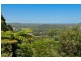 429 Wilsons Creek Road, Wilsons Creek NSW 2482
