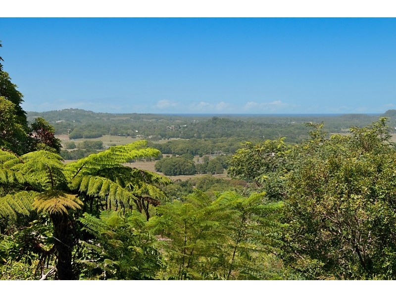 429 Wilsons Creek Road, Wilsons Creek NSW 2482