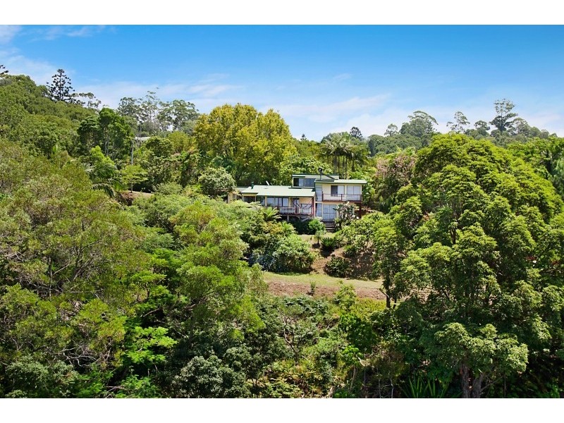 429 Wilsons Creek Road, Wilsons Creek NSW 2482