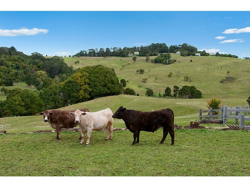 656 Bangalow Road, Talofa NSW 2481