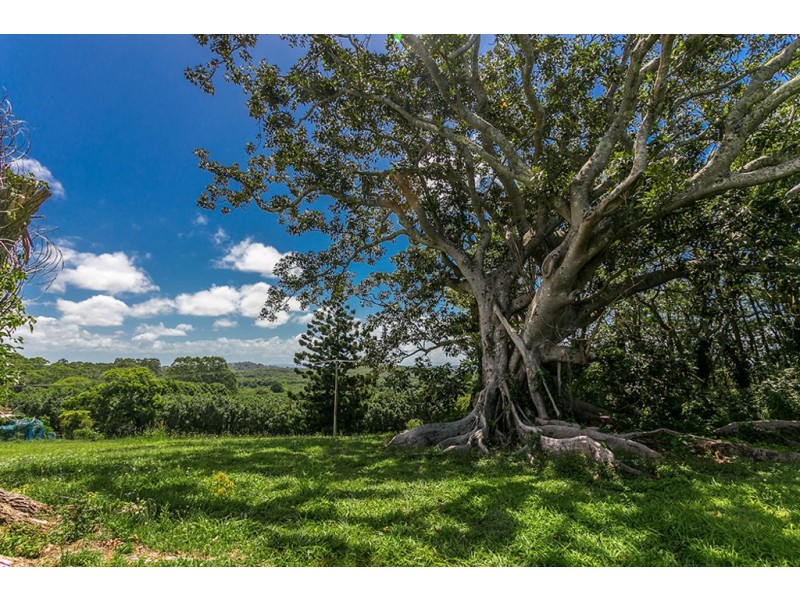 18 Brooklet Road, Newrybar NSW 2479