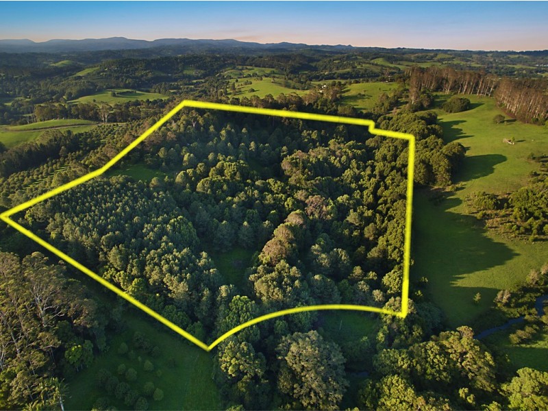 159 Flowers Road, Binna Burra NSW 2479