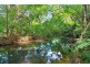 159 Flowers Road, Binna Burra NSW 2479