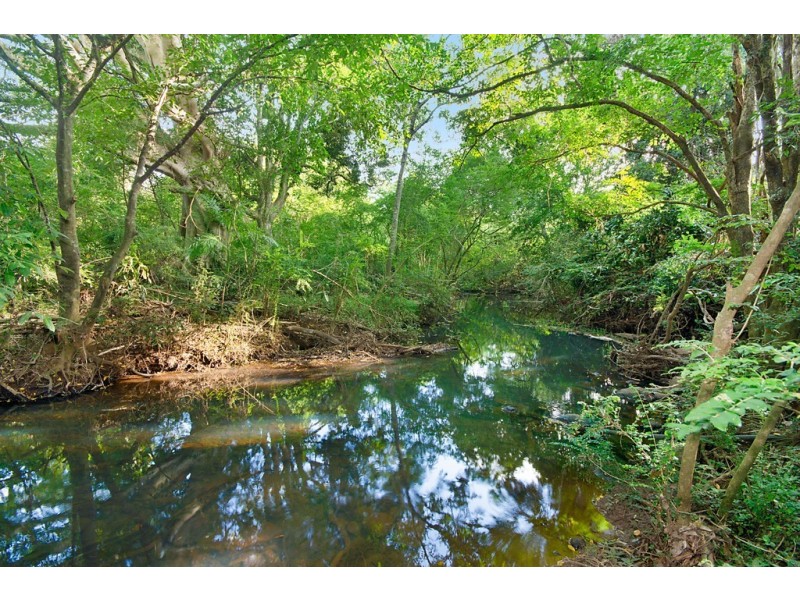 159 Flowers Road, Binna Burra NSW 2479