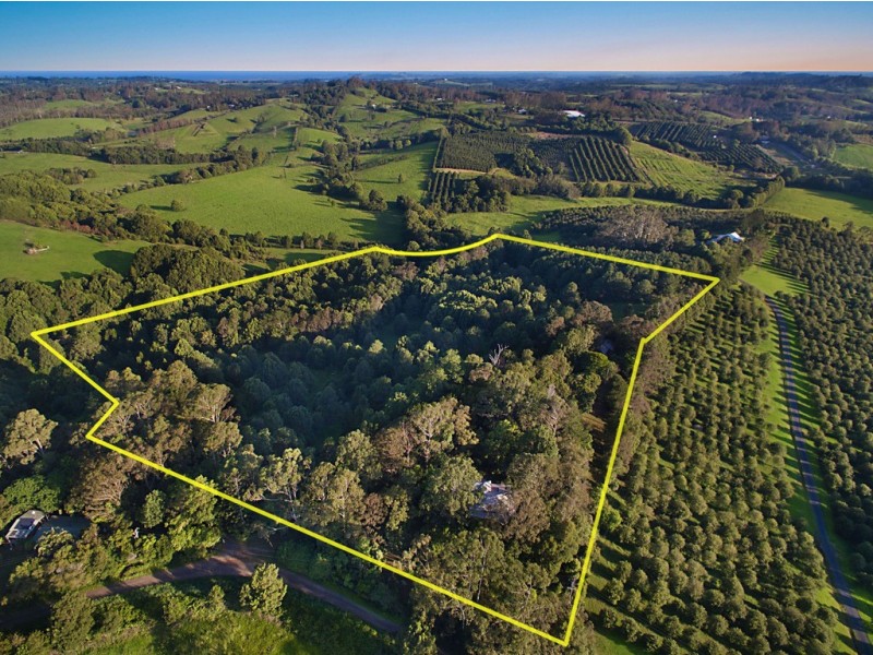 159 Flowers Road, Binna Burra NSW 2479