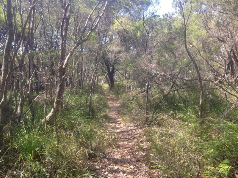 150 Tandys Lane, Brunswick Heads NSW 2483