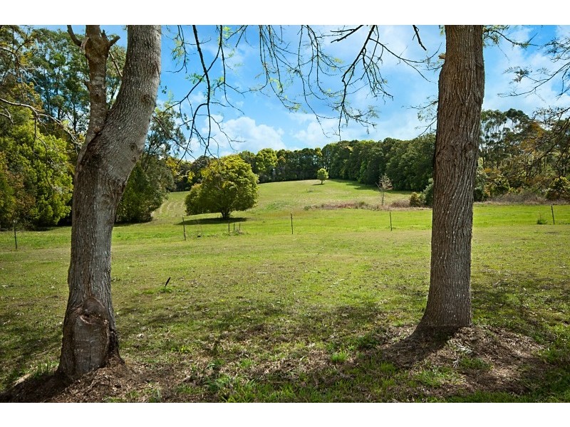 179 Scarrabelottis Road, Bangalow NSW 2479