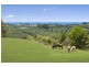 929 Fernleigh Road, Brooklet NSW 2479