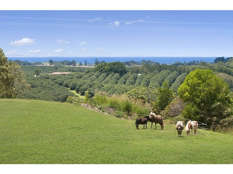 929 Fernleigh Road, Brooklet NSW 2479