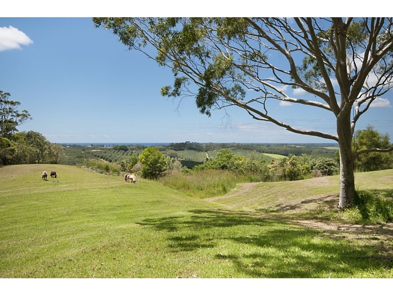 929 Fernleigh Road, Brooklet NSW 2479