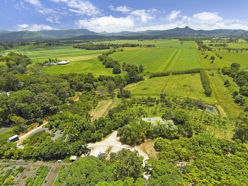 246 McAuleys Lane, Myocum NSW 2481