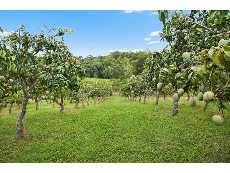 246 McAuleys Lane, Myocum NSW 2481