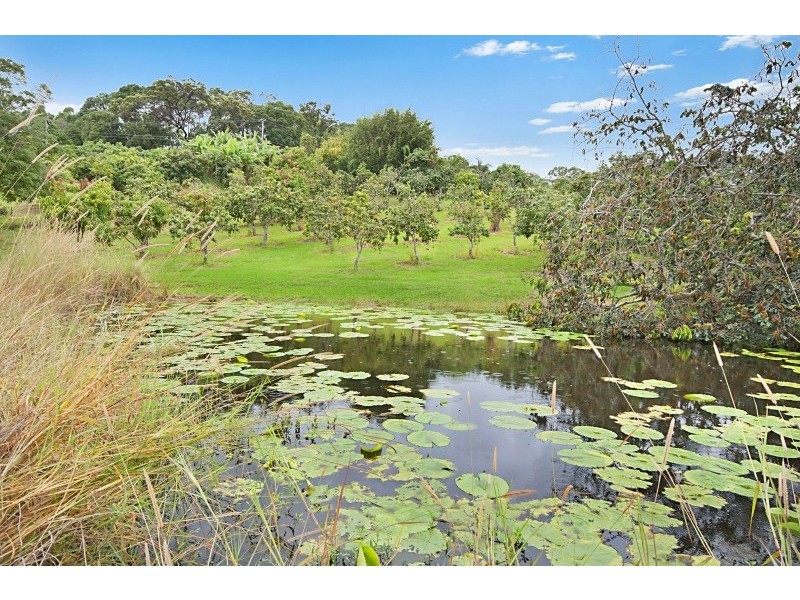 246 McAuleys Lane, Myocum NSW 2481