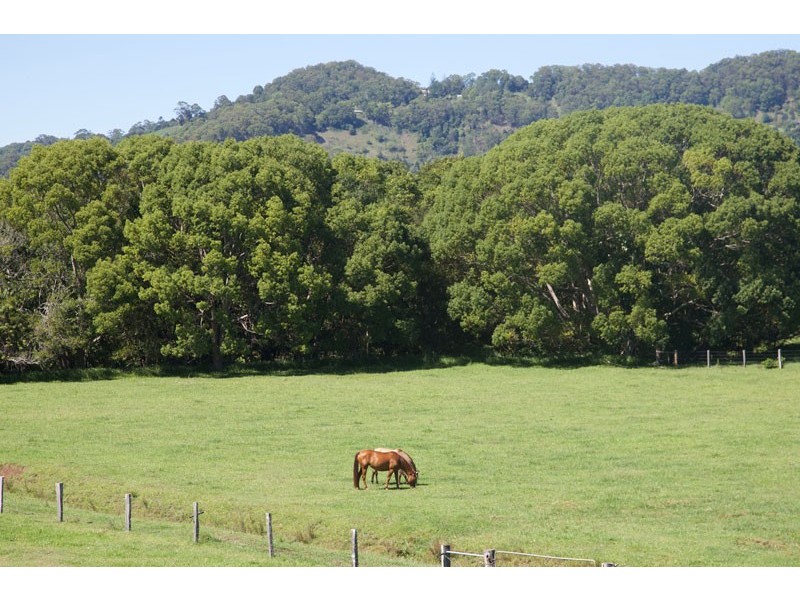 113 Left Bank Road, Mullumbimby NSW 2482