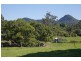 113 Left Bank Road, Mullumbimby NSW 2482