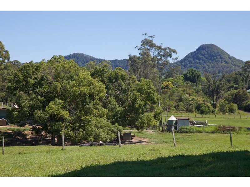 113 Left Bank Road, Mullumbimby NSW 2482