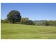 113 Left Bank Road, Mullumbimby NSW 2482