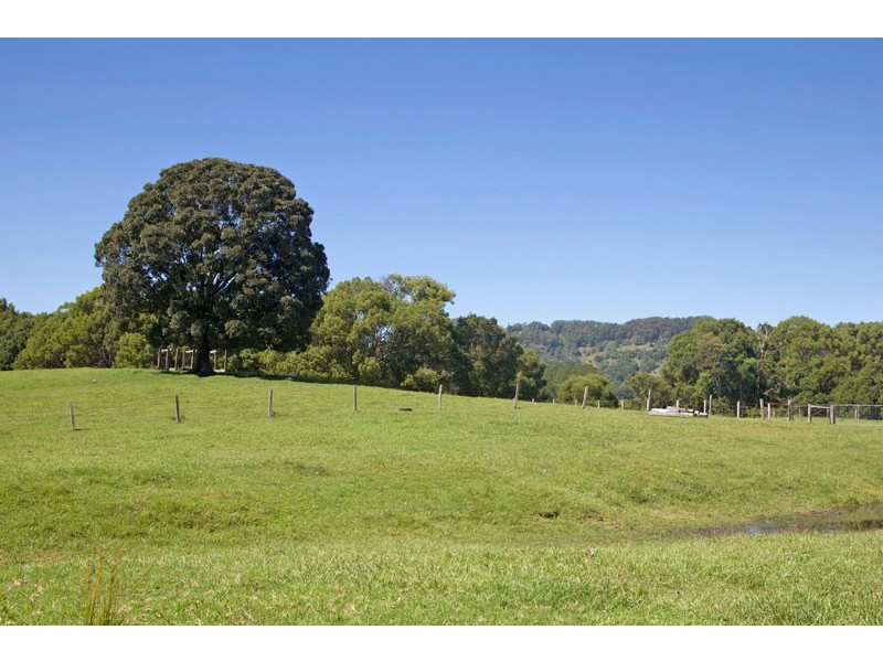 113 Left Bank Road, Mullumbimby NSW 2482