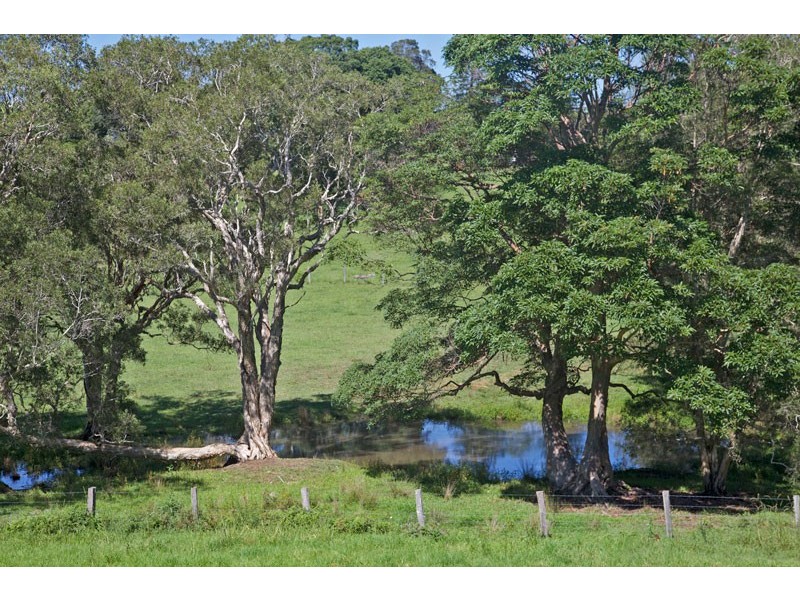113 Left Bank Road, Mullumbimby NSW 2482