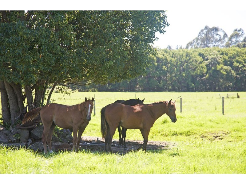 113 Left Bank Road, Mullumbimby NSW 2482