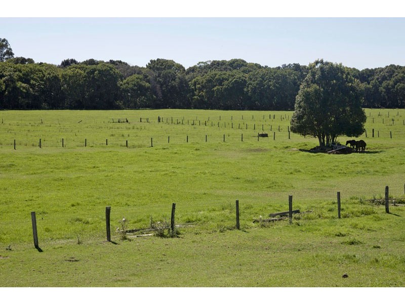 113 Left Bank Road, Mullumbimby NSW 2482