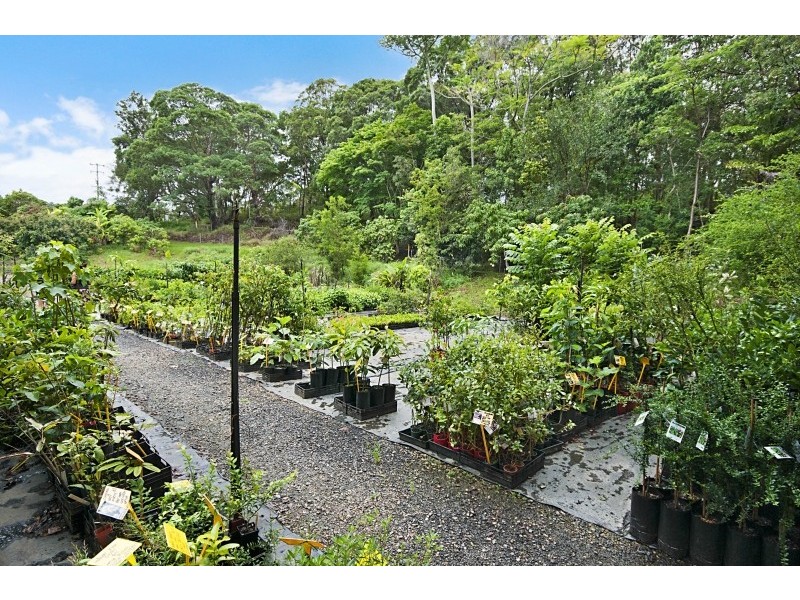 246 McAuleys Lane, Myocum NSW 2481