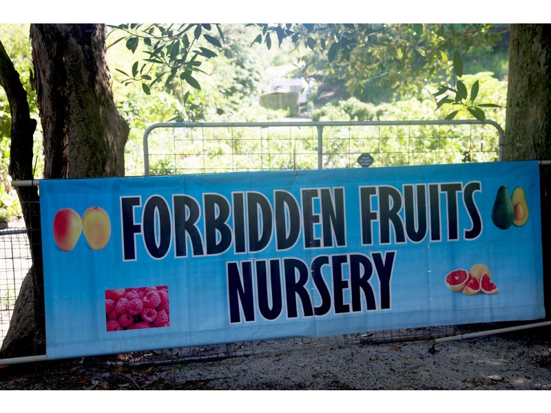 246 McAuleys Lane, Myocum NSW 2481