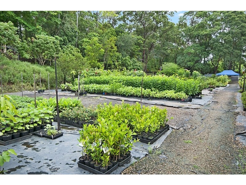 246 McAuleys Lane, Myocum NSW 2481