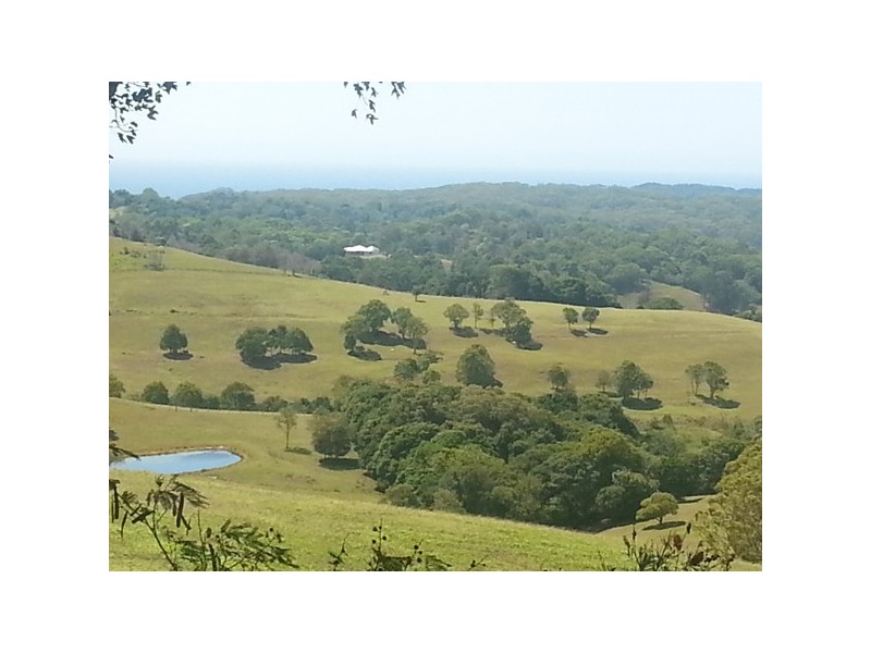 1 Great Granny Waterhouse, Coopers Shoot NSW 2479