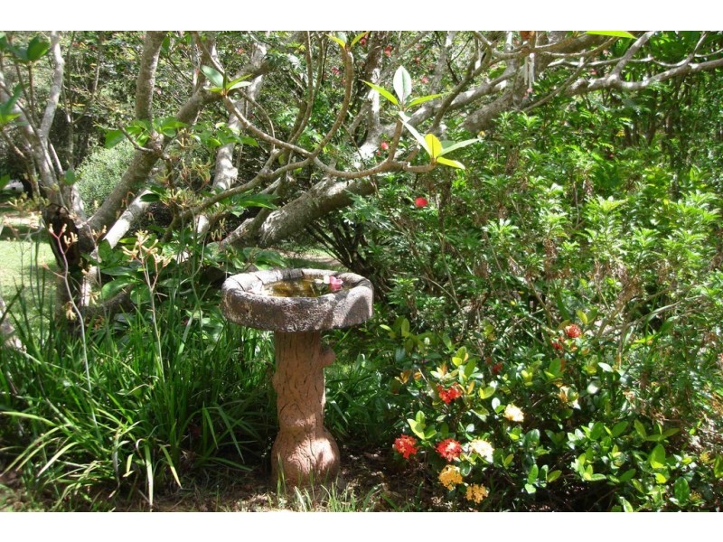 12 Coopers Lane South, Mullumbimby NSW 2482