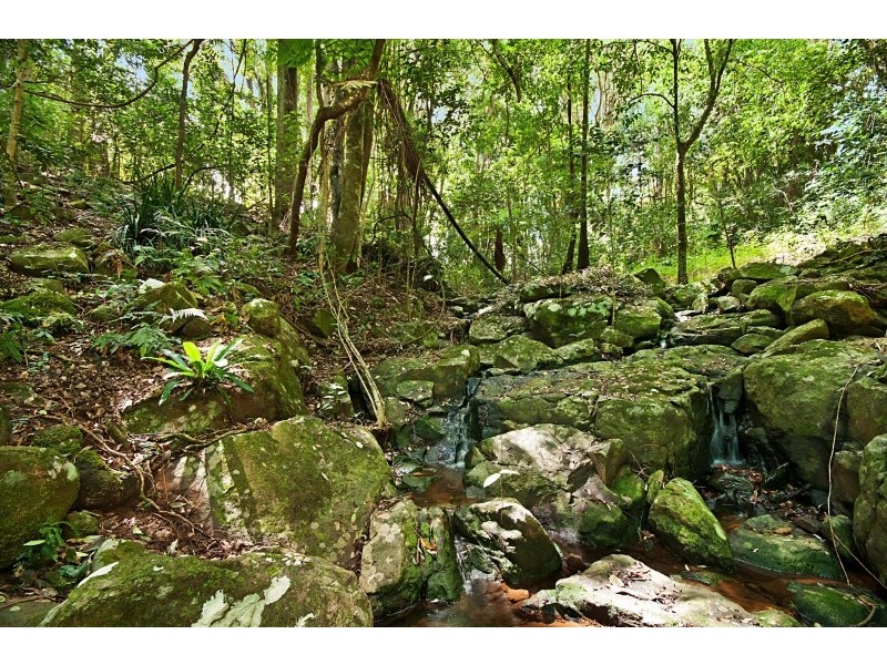 22 Macadamia  Lane, Federal NSW 2480