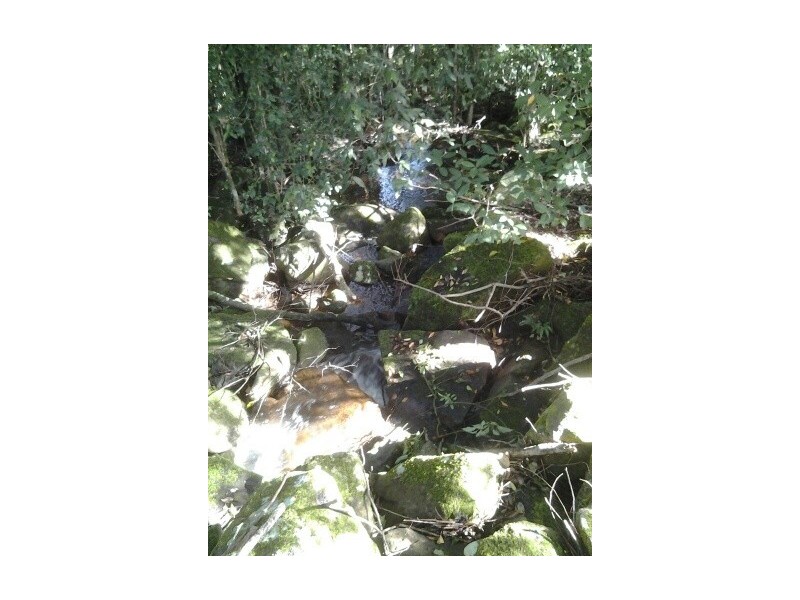 22 Macadamia  Lane, Federal NSW 2480