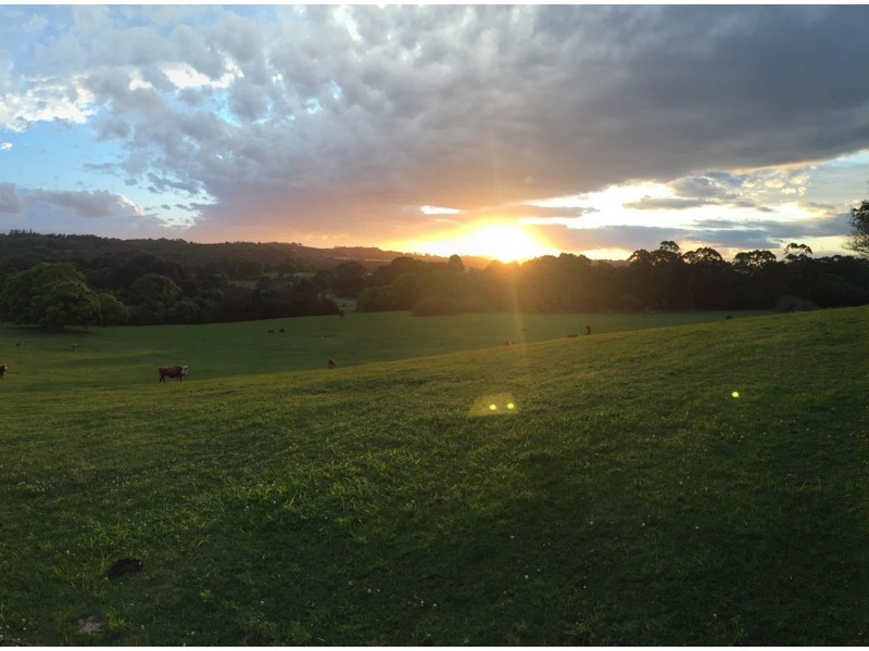 Lot 11 Scenic Vista, Cape View, Ewingsdale NSW 2481