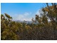 35 Browning Street, Byron Bay NSW 2481