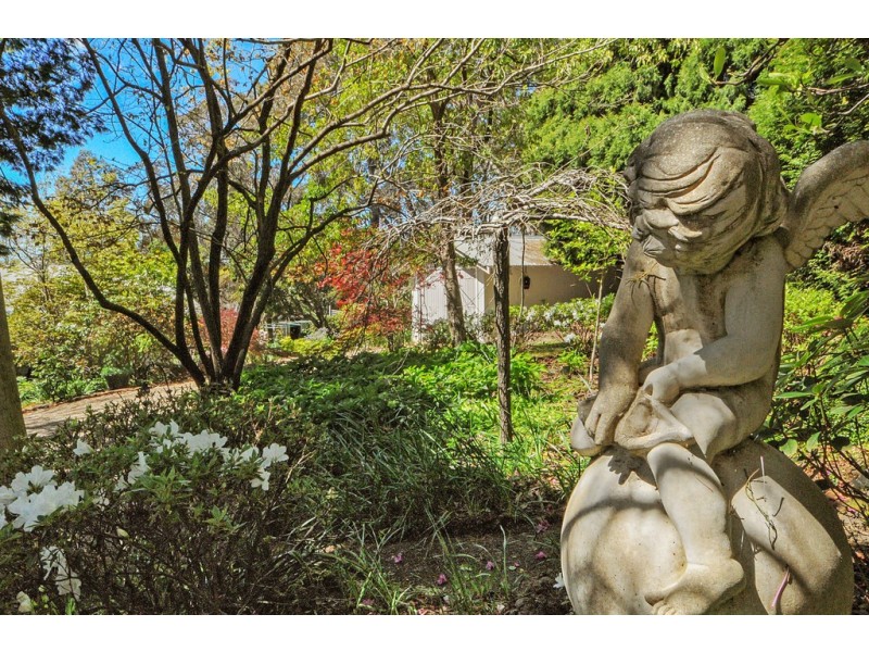 36 Taylor Avenue, Wentworth Falls NSW 2782